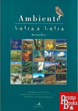 AMBIENTE LETRA A LETRA