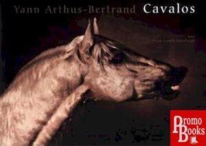 CAVALOS