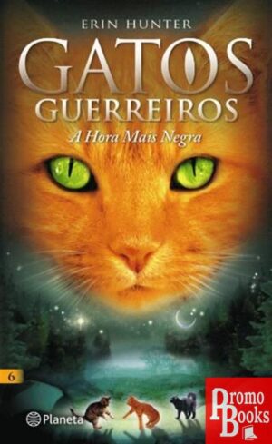 GATOS GUERREIROS 6: A HORA MAIS NEGRA