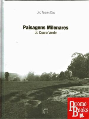 PAISAGENS MILENARES DO DOURO VERDE